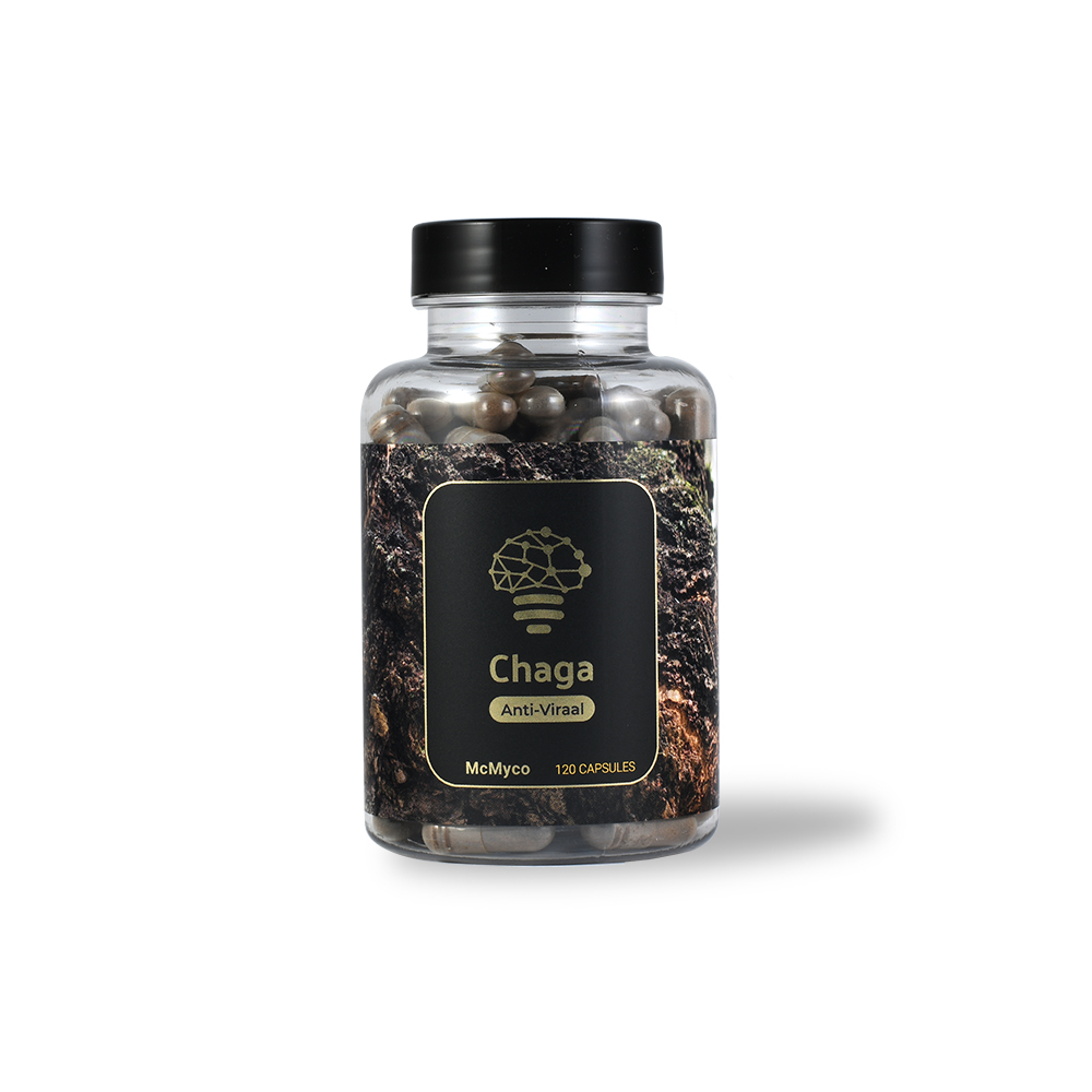 Chaga Chaga Extract Capsules 120 Caps (McMyco) – Antioxidant & Immune Support - Image 1