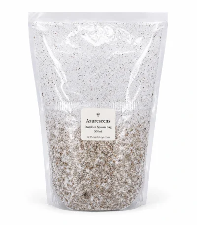 Azurescens Outdoor Spawn Bag 500ml