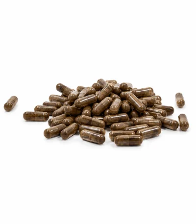 Chaga Extract Capsules retail packaging
