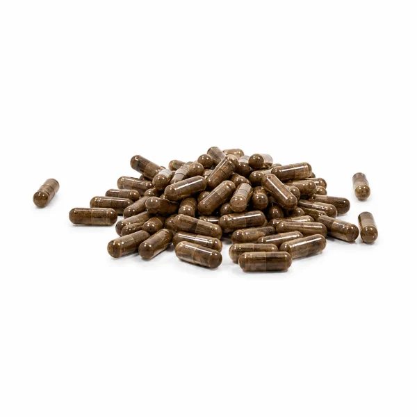 Chaga Extract Capsules retail packaging
