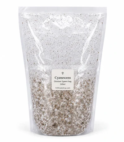 Cyanescens Outdoor Spawn Bag 500ml