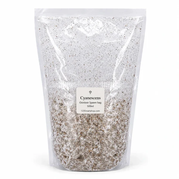Cyanescens Outdoor Spawn Bag 500ml