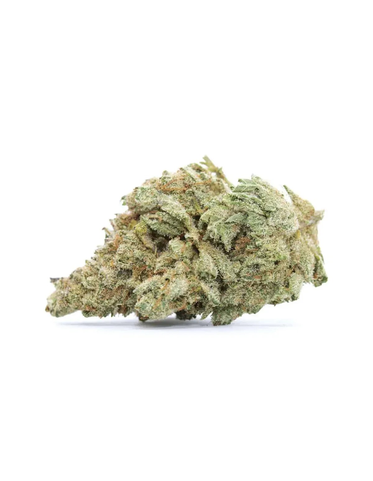 just-seeds-white-widow-fem-.webp High-Yield Feminized White Widow Seeds for Reliable, Potent Cannabis Harvests - Image 1