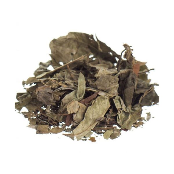 Chacruna (Psychotria viridis) – 50g Premium Ethnobotanical Leaves from the Amazon