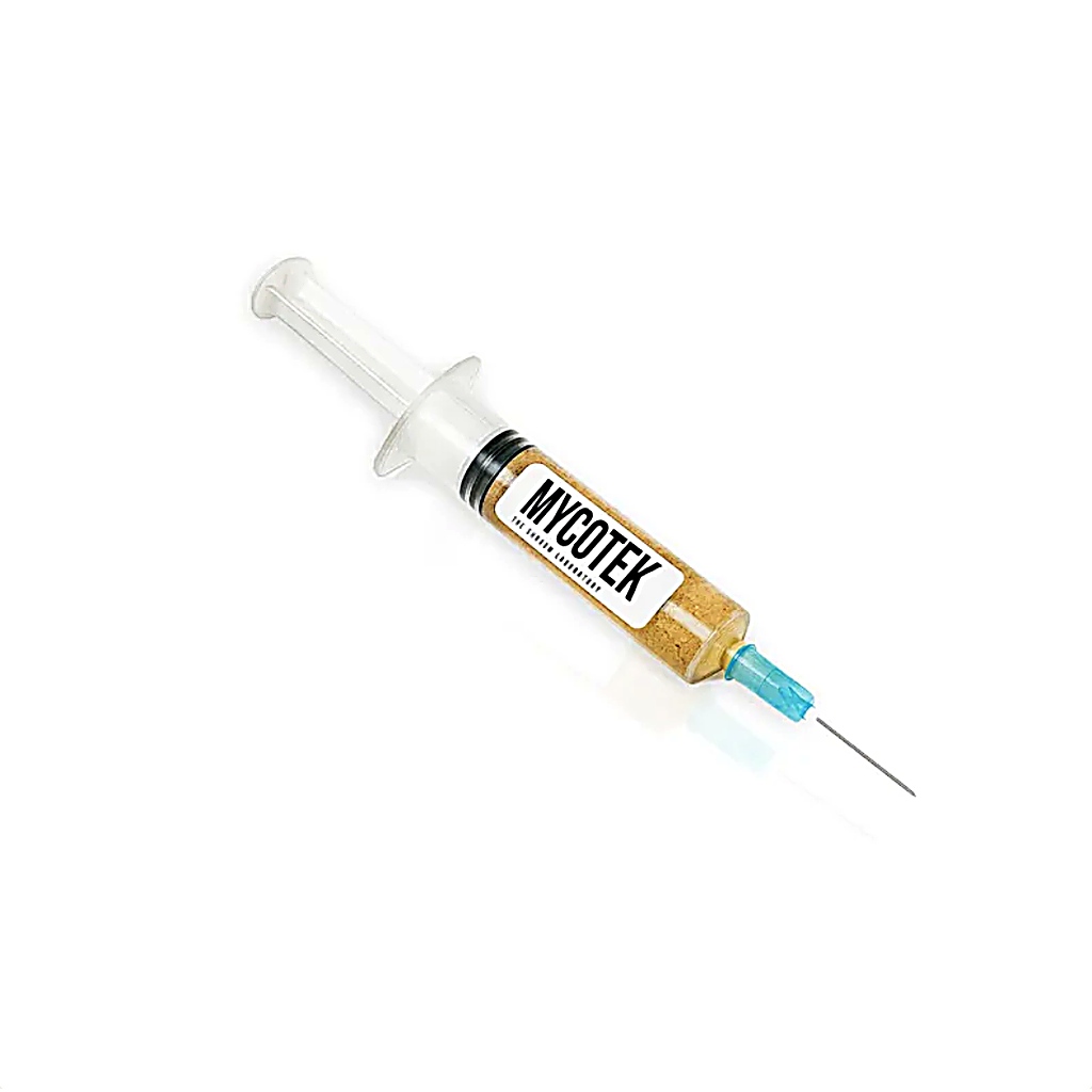 enigma-liquid-culture-1024 Blue Magnolia Liquid Culture Syringe – 10ml Sterile Mycelium Culture - Image 1