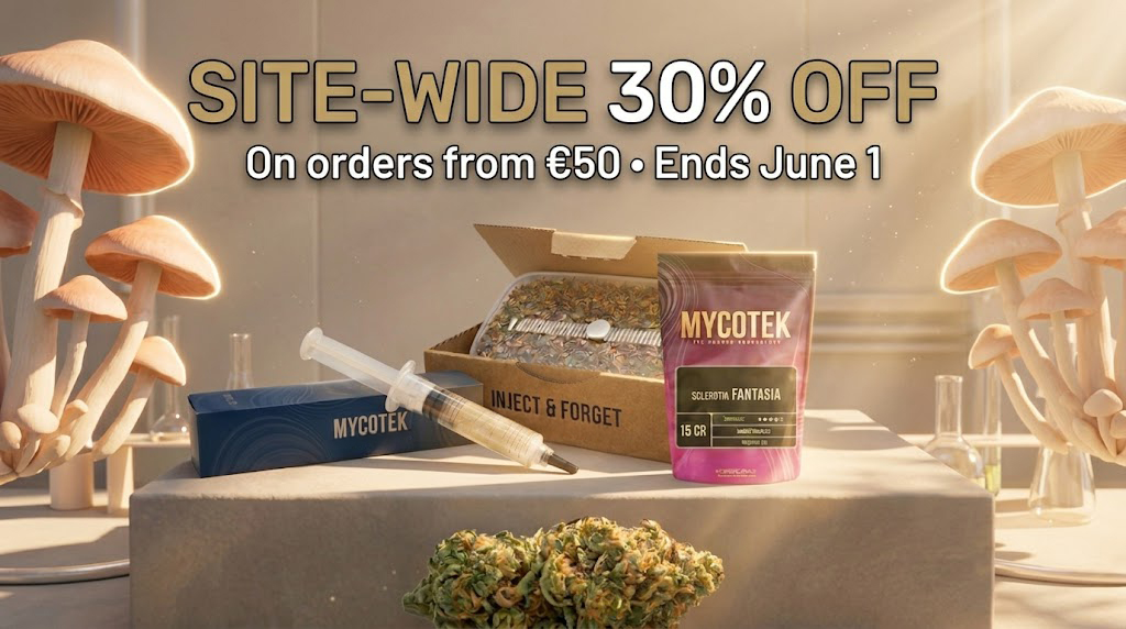 2+1 Free Promo