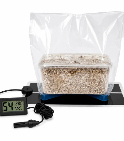 Mushroom Growkit Climate Control Setup