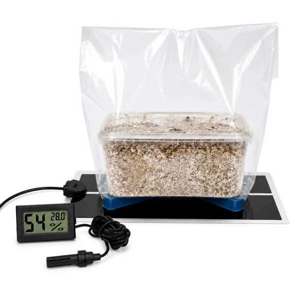 Mushroom Growkit Climate Control Setup