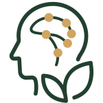Nootropics & Wellness