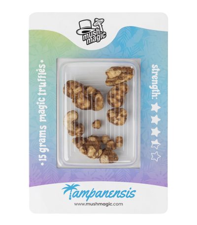 Mush Magic Truffel Tampanensis